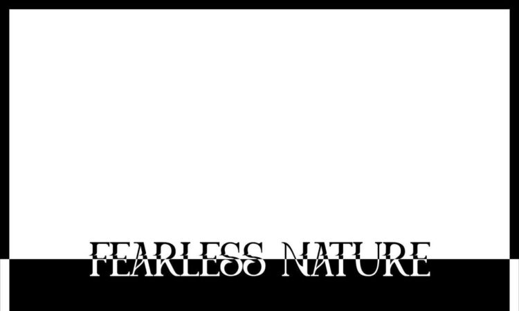 Kid Kapichi - Fearless Nature